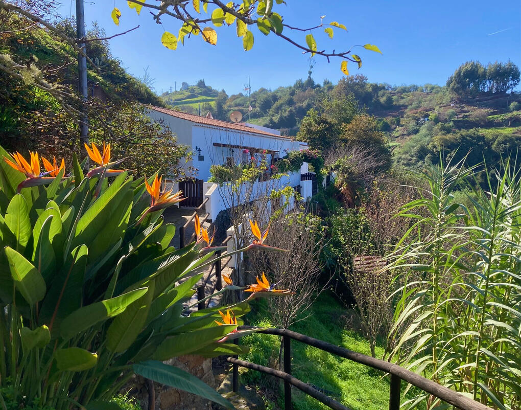 BELLA DORAMAS Casas Rurales Panchita & Millo